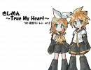 鏡音リン・レン（act2）にきしめんを歌わせた