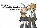 鏡音リン・レン（act2）にきしめんを歌わせた