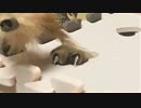かなり気に入ったようです