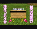 【マイクラ実況】村の名前が決まりました☆【Part5】