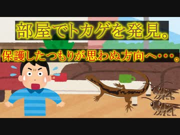 【ゆっくり小話】トカゲを保護した結果、あらぬ方向に行った話