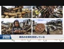 中国の報道官がフェイクニュースでアメリカを中傷、大朝鮮の本領を発揮した模様