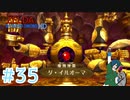 【ゼルダの伝説スカイウォードソード】VSダ・イルオーマ！邪と聖の戦い【Part35】