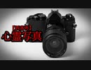 【洒落怖】心霊写真