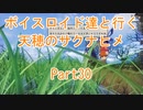 【天穂のサクナヒメ】【ボイロ実況】ボイスロイド達と行く天穂のサクナヒメ part30