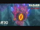 ネルドラに取り憑いた怨念をつつきに行く【ゼルダの伝説 ブレスオブザワイルド マスターモード】#30