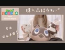 ジェラピケあつ森コラボ＊購入品紹介
