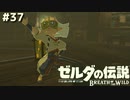 セットの仕方だけ教えて欲しい【ゼルダの伝説 ブレス オブ ザ ワイルド㊲】