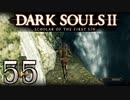 【DARK SOULS2 SCHOLAR OF THE FIRST SIN】1をプレイしてからのダークソウル2 part55【初見実況】