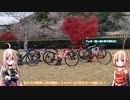 【ARIA車載】ギャバの１１　桜を見る会【愛知県】