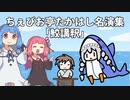 高速講談「鮫講釈」【ソフトウェアトーク劇場】