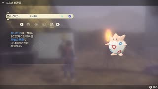 人気の ポケモン色違い 動画 73本 ニコニコ動画