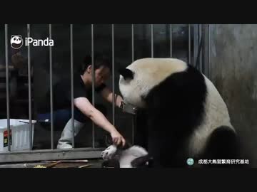 ホモと見る　等価交換