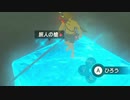 【ブレワイ】依頼を受けて、ヒガッカレの地面が光ってる原因を調べてみた【ドリカラ】【ゼルダの伝説ブレスオブザワイルド,BotW,ゼル伝,字幕実況】