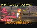 ポケモンレジェンズ アルセウス　ライチュウを捕まえたい！出現場所は？　＃２８５【Pokémon LEGENDS アルセウス】