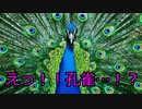【新クトゥルフ神話TRPG】残光の島　part3【ゆっくりTRPG】