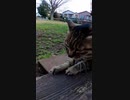 この猫店長は猫の手を貸してくれるのだろうか・・・！？#Shorts【野良猫】【感動猫】