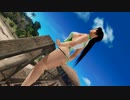 【DoaX3/紅葉】グラビアパラダイス(日焼け3バターン) 紅葉