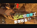 【飲酒実況】ホラゲが苦手な酔っぱらいの大冒険【ダイイングライト2 】#1