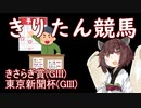 【東北きりたん競馬予想】きさらぎ賞・東京新聞杯2022