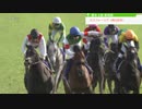 【ウマ娘×競馬 MAD】2021年G1・Jpn1レース総集編～ユメヲカケル！～ 修正版