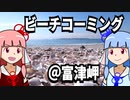 【琴葉姉妹の浜遊び】ビーチコーミング＠冬の富津岬【VOICEROID解説】