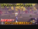 ポケモンレジェンズ アルセウス　アンノーンDを捕まえたい！出現場所は？　＃３００【Pokémon LEGENDS アルセウス】