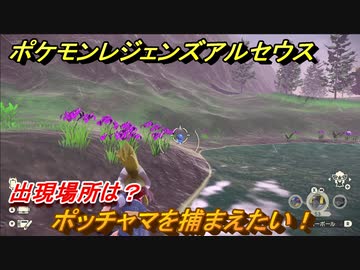 ポケモンレジェンズ アルセウス ポッチャマを捕まえたい 出現場所は ３０４ Pokemon Legends アルセウス ニコニコ動画