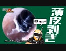 【睡眠導入用本物耳かき音】 黒三連円盤耳かきで耳掃除/Real Ear Cleaning Sound /SONY ECM-CS3 /no talking【イヤースコープASMR】