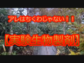 【過去雑談】替え歌ﾌｧｰｽﾄﾃｲｸ追加収録！奴らが一番嫌がるのは【一般人たちの覚醒】タブーにこそ真実がある！替え歌カフェvol.2追加収録