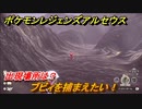 ポケモンレジェンズ アルセウス　ブビィを捕まえたい！出現場所は？　＃３０８【Pokémon LEGENDS アルセウス】