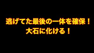 【心霊捜査隊&元自衛隊サバゲの神様TV】】逃げてた最後の一体を確保！大石に化ける