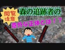 【ゆっくり小話】【閲覧注意】森で後をつけてきたやつの、意外過ぎる正体とは！？