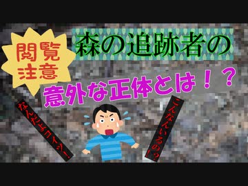 【ゆっくり小話】【閲覧注意】森で後をつけてきたやつの、意外過ぎる正体とは！？