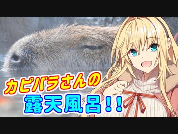 ことのはGoToドライブ　〜 カピバラさんの露天風呂 〜【VOICEROID車載・CeVIO車載】