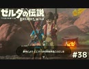 嫌われてんじゃないの？【ゼルダの伝説 ブレス オブ ザ ワイルド㊳】