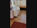 クレーンゲーム