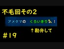 カクレオンとは 単語記事 ニコニコ大百科