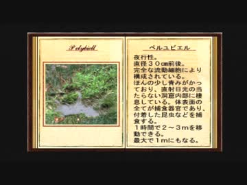 【DESERTED ISLAND】よく分からないゲームをやろう会_Part09
