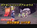 ポケモンレジェンズ アルセウス　迎月の戦場　ツバキ戦　あぶない山登り　＃１６３【Pokémon LEGENDS アルセウス】