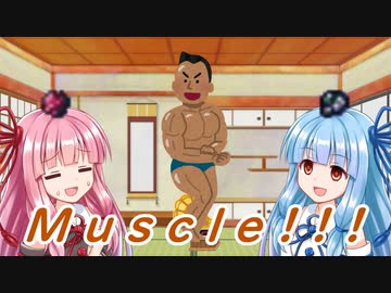 【BGM配布】曲と雑談「筋肉はマッスル」【ゆっくり＋ボイスロイド】