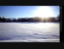 剣戟の響き渡る雪原で