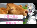 【CeVIO解説】小春六花の飲酒日和 #xx 【ご報告回】