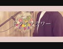 ➳〘ドライフラワー〙／優里 （cover）By Show