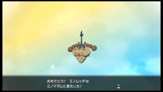 ＃6【Pokemon Legends アルセウス】イベントバトル多すぎたりギリギリだったり