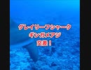 グレイリーフとギンガメの交差点！