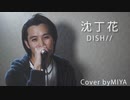 DISH// /『沈丁花』（リクエスト曲）