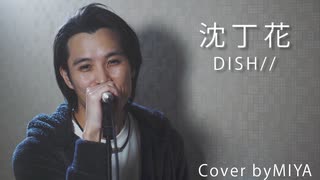 DISH// /『沈丁花』（リクエスト曲）