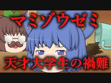 【ゆっくり劇場】マミゾウゼミ天才大学生の禍難#1【殺人事件】