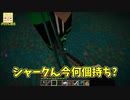 【Minecraft】きりやんがやらかしたら、きんときもやらかしました。マイン無しでエンダードラゴンを倒す！【Part12】
